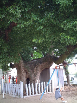 ¿åÈø¤Î¾À¡¡£´