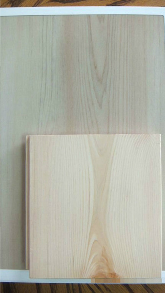 ̵���Ȱ��������ȣ�