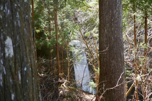 Ê¿´ä²È¤Î¥¤¥Á¥¤ 11