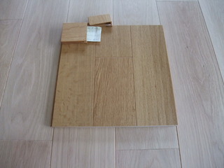 ����������������̵���ե�����󥰡�V�ץ�ߥ����졼�ɣ�