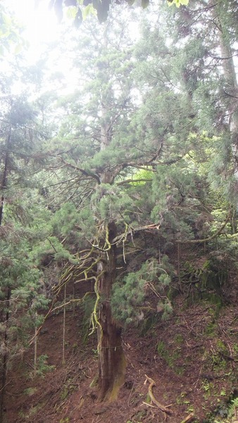 �۶��������ŷ�����