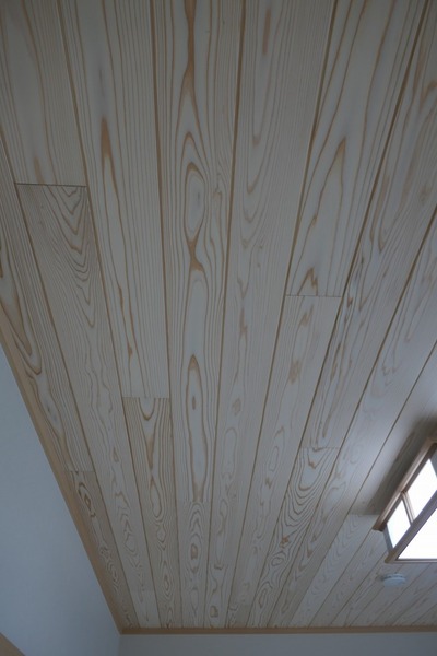 �л��־��ʤ������󤢤��ޤġ�����̵������ʪ�ե�����󥰡�������