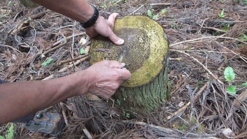 �����Τ룱