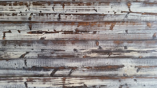 ������ơ������٥̣�