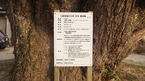 �������ζ�ɡ���