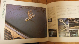 �����ʡ���