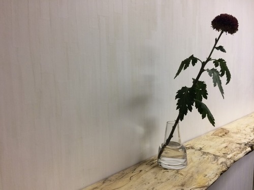 ¤Ö¤Ê¥¹¥Ý¥ë¥Æ¥Ã¥É¡¡»Ü¹©£µ