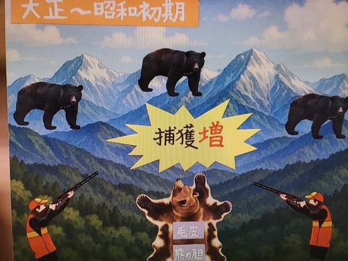 ¥¯¥Þ½ÐËץ˥塼¥¹£±