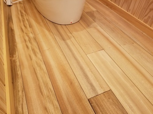 ʼ������̵������ʪ�ե�����󥰣�