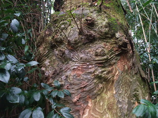 ½ÐÄ¥¤Ë¤Æ£²