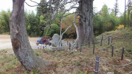 �ڻ����祹������