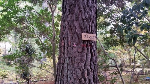 ¥¤¥Ù¥ó¥È£¹