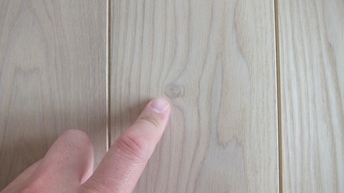 À¶Î俤â¡Ê¤»¤¤¤ê¤ç¤¦¤¿¤â¡ËÉý¹Ìµ¹¤°ìËçʪ¥Õ¥í¡¼¥ê¥ó¥°£·