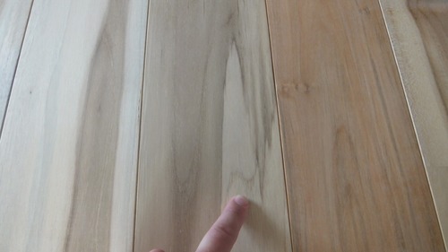 �ͥ���������� �ͥ����åɥ��졼�ɣ�