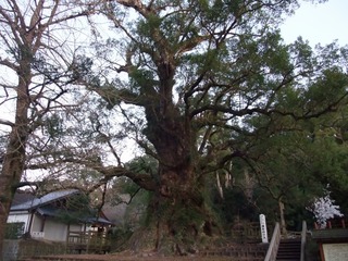 ³÷À¸¤ÎÂ祯¥¹¡¡£³