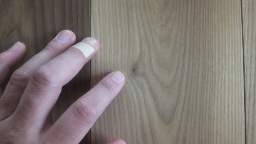 �����󥷥���ȥ��å�������̵������ʪ�ե�����󥰡���