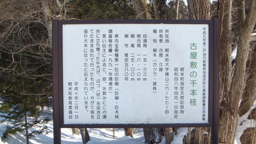 ¸Å²°ÉߤÎÀéËÜ·Ë£±