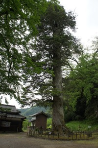 �ɼ���ҤΥ�ߡ���