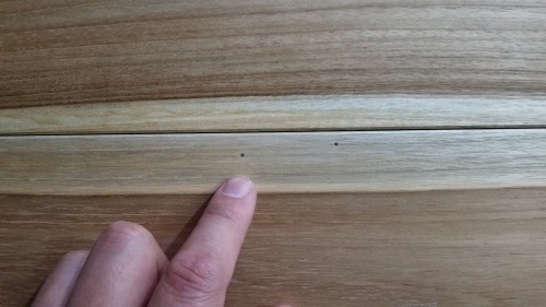 �ͥ��������������̵������ʪ�ե������ 8