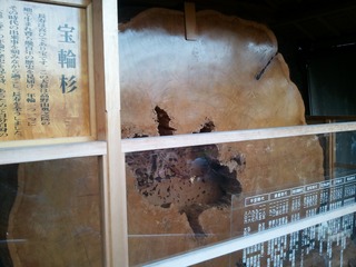 ����κ�����