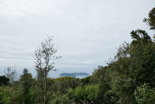 ͡�ᱩ���Ҥοƻҿ��ȥ������������