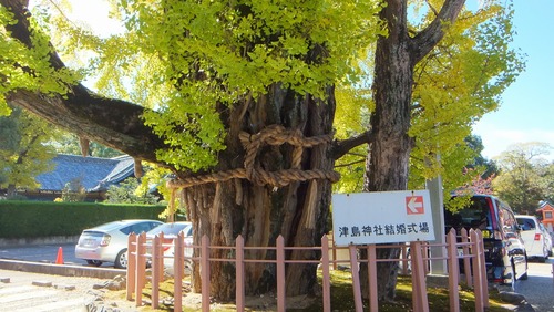 ������Ҥ��祤���祦�ȱ��ζ�ɡ���