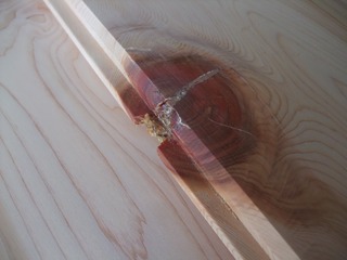 �������������ġ�V����