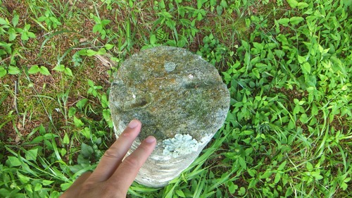 ���֤Υϥ������䣱��