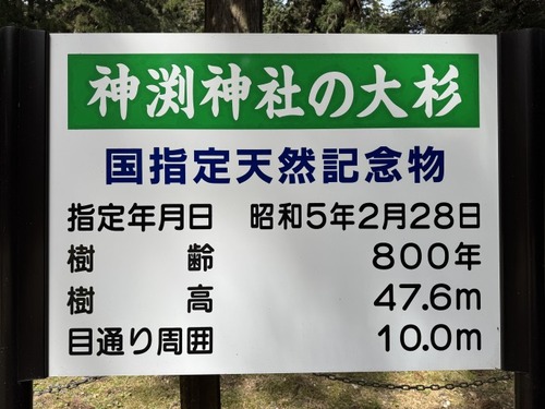 ��޼���Ҥ��祹��7