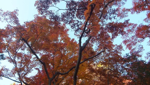 ��̿����ͼ�Ȥ�ߤ�����