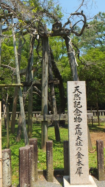 ������Ҥζ��ںԡ���