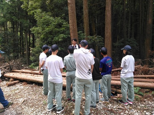 ��带������