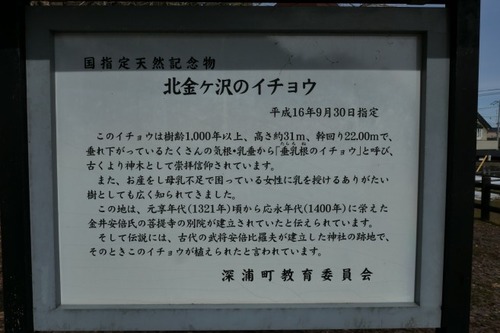 �̶�����Υ����祦10