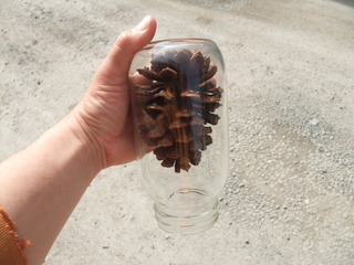 ���ܤä���ޥ��å�����