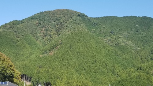 ��Ȳ�⤢��͹��Ӥ�ŷ���ӡ���