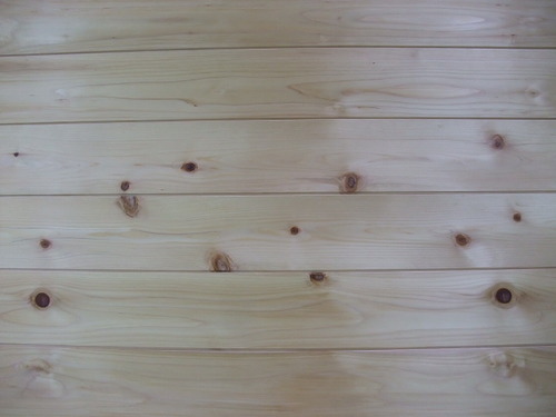 ǽÅФ¢¤Æ¡Ê¤Ò¤Ð¡¦¤Ò¤Î¤¤¢¤¹¤Ê¤í¡ËÉý¹Ìµ¹¤°ìËçʪ±©ÌÜÈÄ¡¡£±