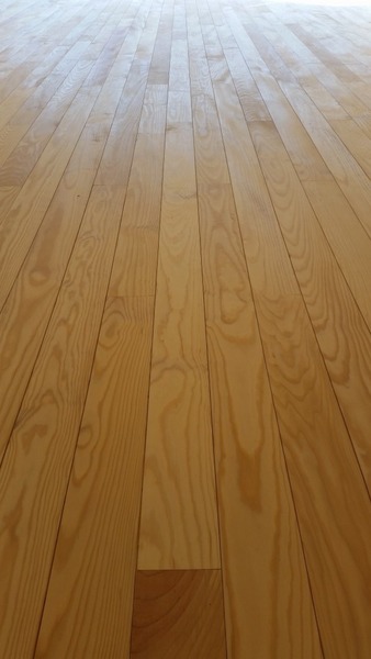 ����̵������ʪ�ե�����󥰻ܹ���