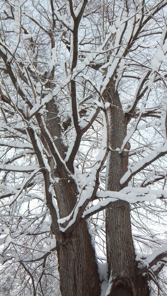 ���ޤ���������