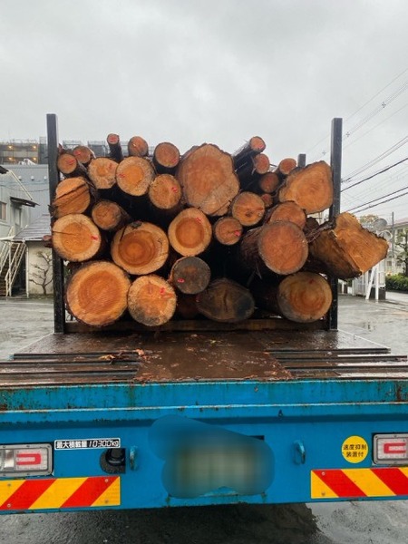 ÈôÂͤδÝÂÀ Æþ²Ù£±