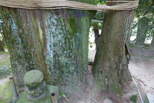 ͡�ᱩ���Ҥοƻҿ��ȥ������������