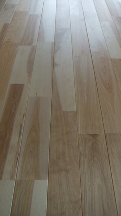 ¥ê¥Õ¥ê¡¼¥Ð¡¼¥Á¡¡£±£²