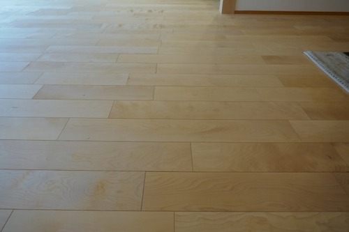 С(С̵ĤʤV¥ե󥰻ܹ 11