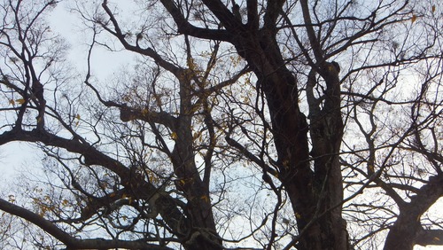 ��֤��祱�䥭�����С�����󡡣�