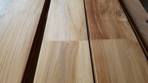 �ͥ��������������̵���ե������ ̵�����ο���