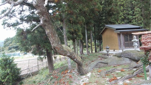 �ƻ����������