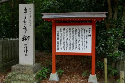 ����®����ҤΥʥ�����ˡ�5