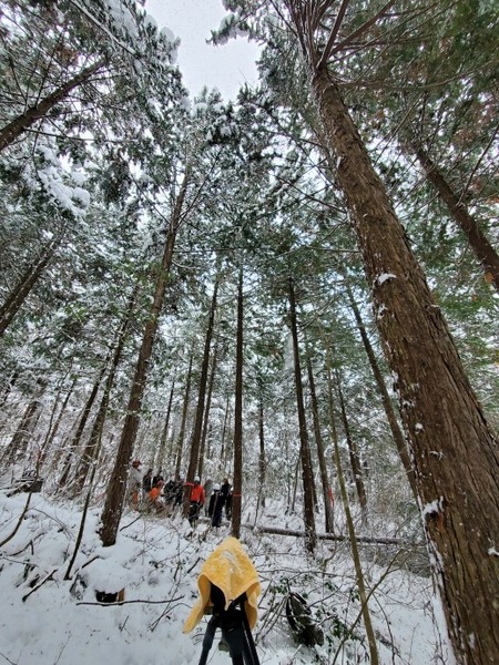 ��׼���־�����Ƥ롢�����͡���������2025-4