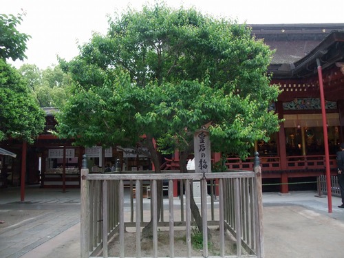 �Ĺ�����