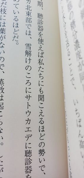 ���������ʤ뼫�����ϣ�