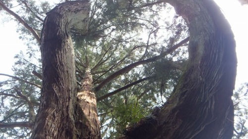 ���ɸ�ŷ���ԡ���Ƿ˷�����������